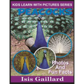 Peacocks: Photos and Fun Facts for Kids