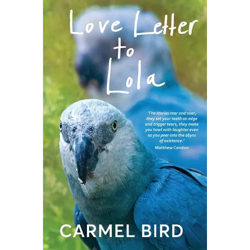 Love Letter to Lola