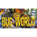 Bug World: A 3-D Pop-Up Book