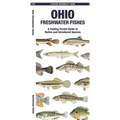 Ohio Freshwater Fishes: A Folding Pocket Guide to Native and Introduced Species