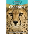 Cheetahs
