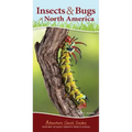 Insects & Bugs of North America: Your Way to Easily Identify Insects & Bugs