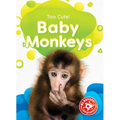 Baby Monkeys