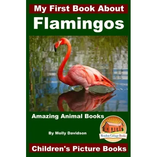 My First Book About Flamingos - Amazing Animal Books - Children's Picture Books