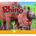 Rhino