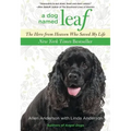 Dog Named Leaf: The Hero from Heaven Who Saved My Life