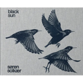 Søren Solkær: Black Sun