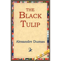 The Black Tulip