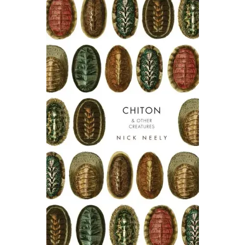 Chiton & Other Creatures