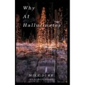 Why AI Hallucinates: The Bot-Verse Begins