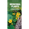 Medicinal Plants: An Introduction to Familiar North American Species
