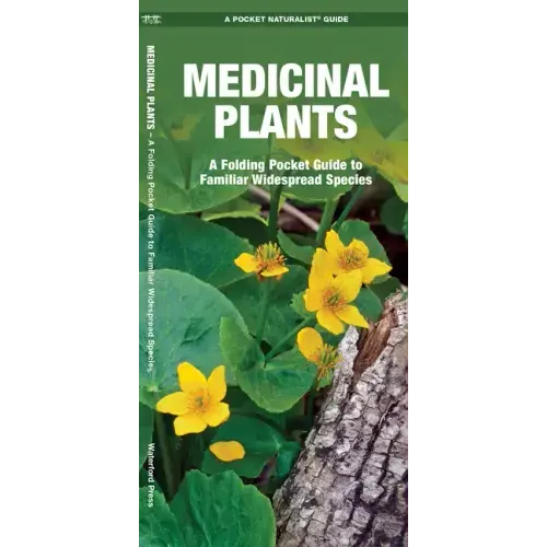 Medicinal Plants: An Introduction to Familiar North American Species