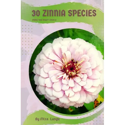30 Zinnia species: Make the right choice