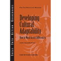 Developing Cultural Adaptability: How to Work Across Differences