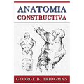 Anatomia Constructiva