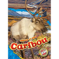 Caribou