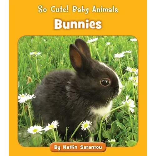 Bunnies
