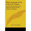 White Servitude in the Colony of Virginia: A Study of the System of Indentured Labor in the American Colonies
