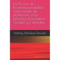 La Acción de Inconstitucionalidad Como Medio de Protección a Los Derechos Económicos, Sociales Y Culturales