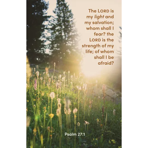 General Worship Bulletin: The Lord Is My Light (Package of 100): Psalm 27:1 (Kjv)
