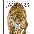 Jaguars
