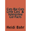 Cats Big Cats Little Cats & Interesting Cat Facts: Cats Big Cats Little Cats & Interesting Cat Facts