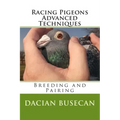 Racing Pigeons Advanced Techniques: Breeding and Pairing
