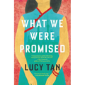 What We Were Promised