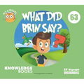 What Did Brin Say?: Book 63