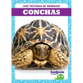 Conchas (Shells)