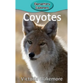 Coyotes