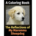 The Reflections of My Maremma Sheepdog: A Coloring Book