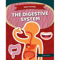 Digestive System