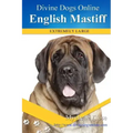 English Mastiff