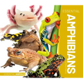 Essential Amphibians