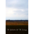The Splendour Of The Liturgy