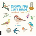 Drawing Cute Birds in Colored Pencil