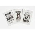 Harry Potter: Wanted Posters Pocket Notebook Collection (Set of 3)