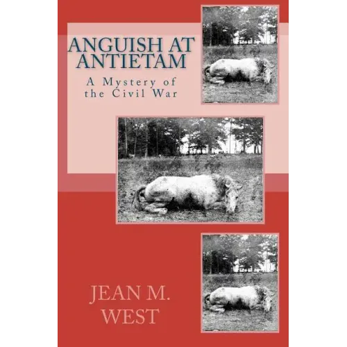 Anguish at Antietam: A Mystery of the Civil War