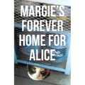 Margie's Forever Home For Alice