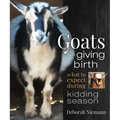 Goats Giving Birth: What to Expect During Kidding Season