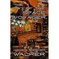 The Day of the Space Voyager