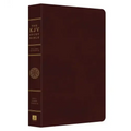 Study Bible-KJV