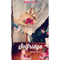 Selfridge: The Life and Times of Harry Gordon Selfridge