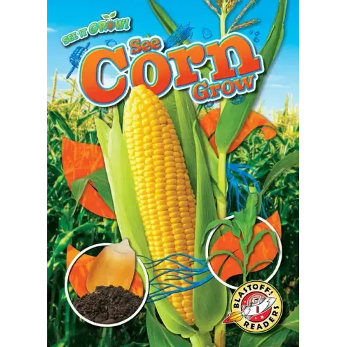 See Corn Grow