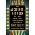 The Accidental Network: How a Small Company Sparked a Global Broadband Transformation