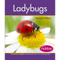 Ladybugs