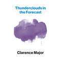 Thunderclouds in the Forecast