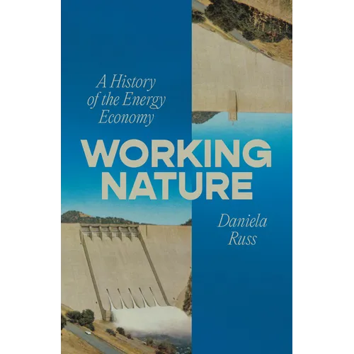 Working Nature: A History of the Energy Economy