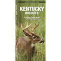 Kentucky Wildlife: A Folding Pocket Guide to Familiar Animals